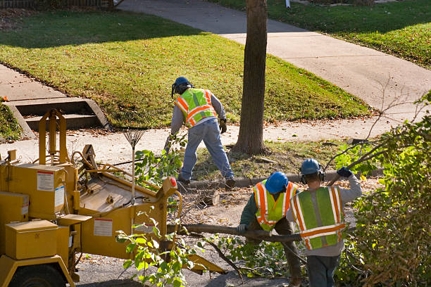 Lawn Pest Prevention in Hawkins, TX